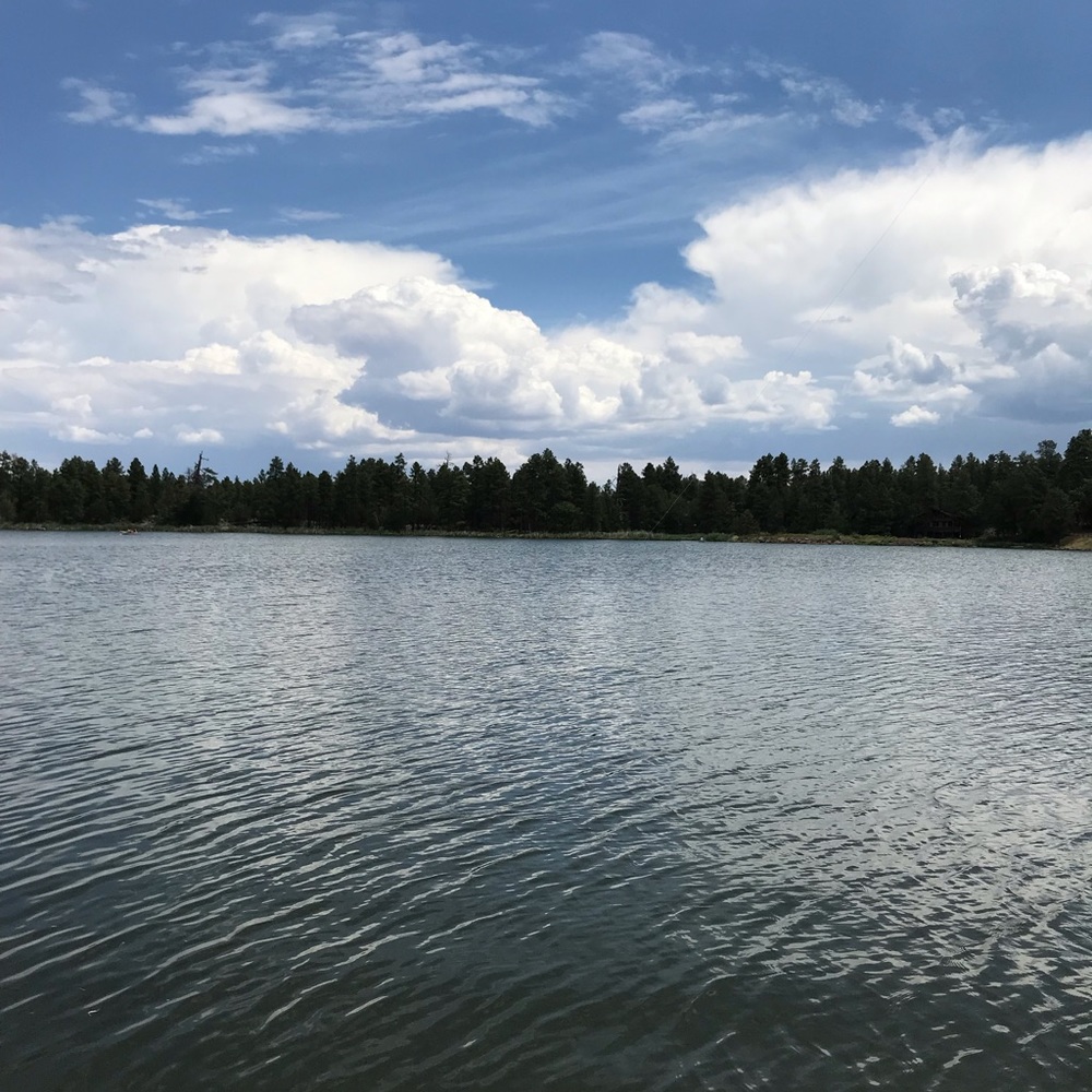 Meet your Posher, Emilia